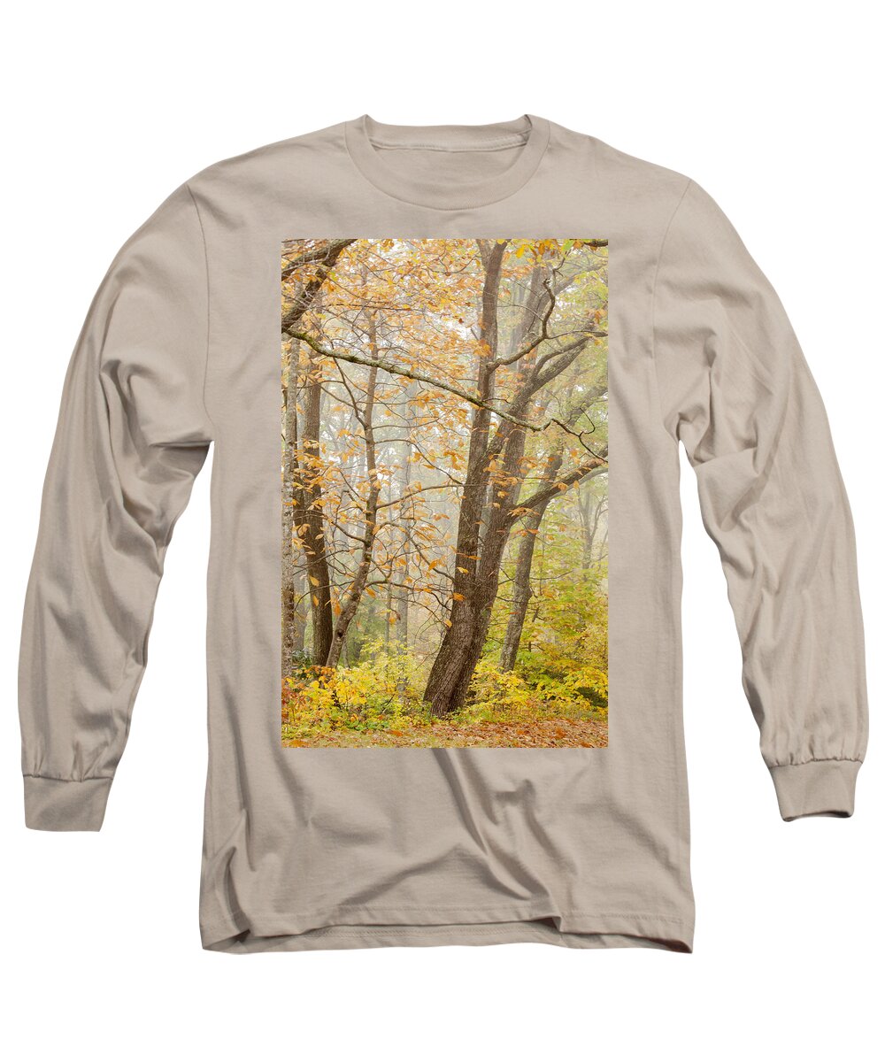 Appalacia Long Sleeve T-Shirt featuring the photograph Autumn Trees by Jo Ann Tomaselli by Jo Ann Tomaselli