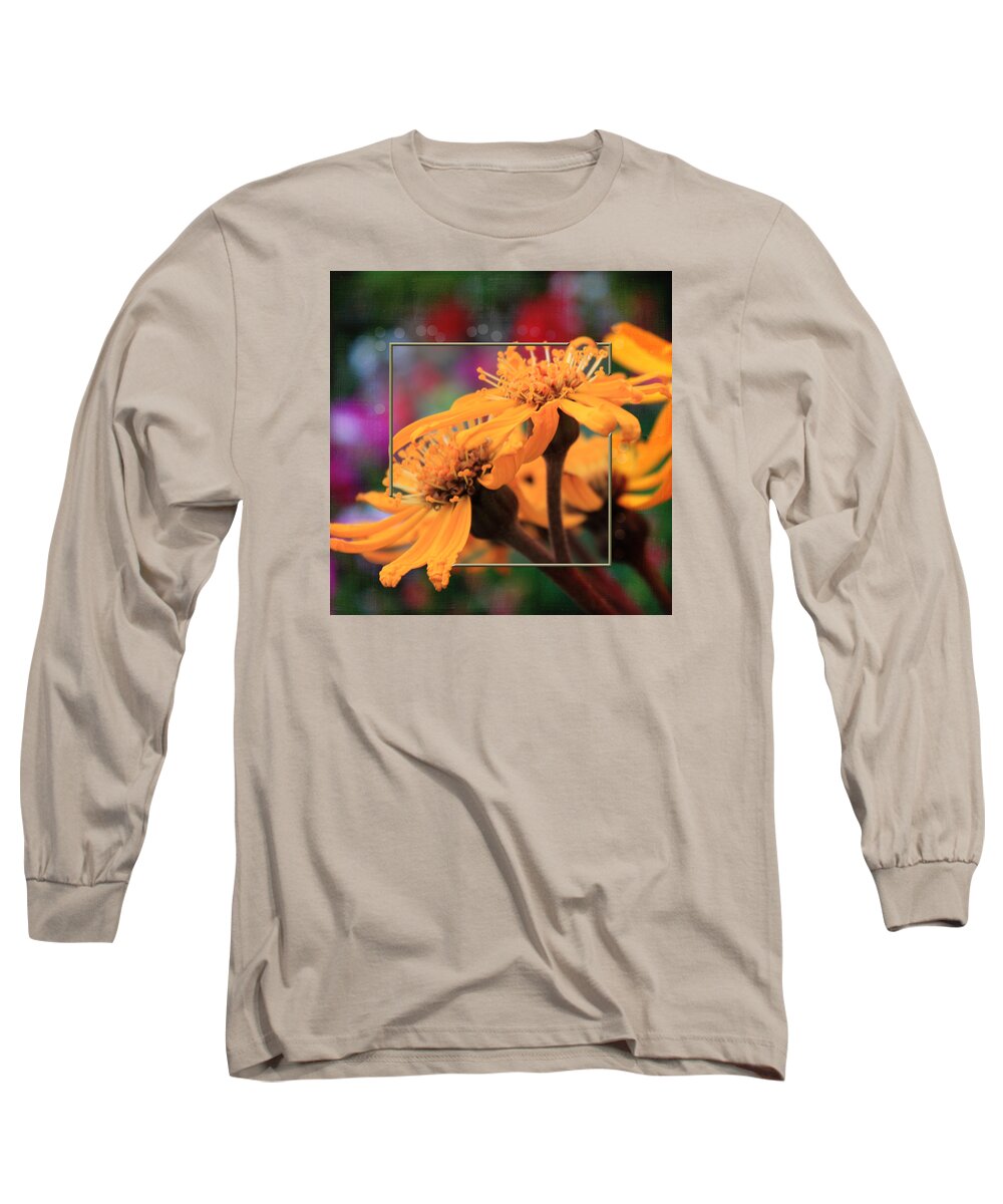 Leopards Bane Flower Long Sleeve T-Shirt featuring the photograph Autumn's Glory by Sandra Foster