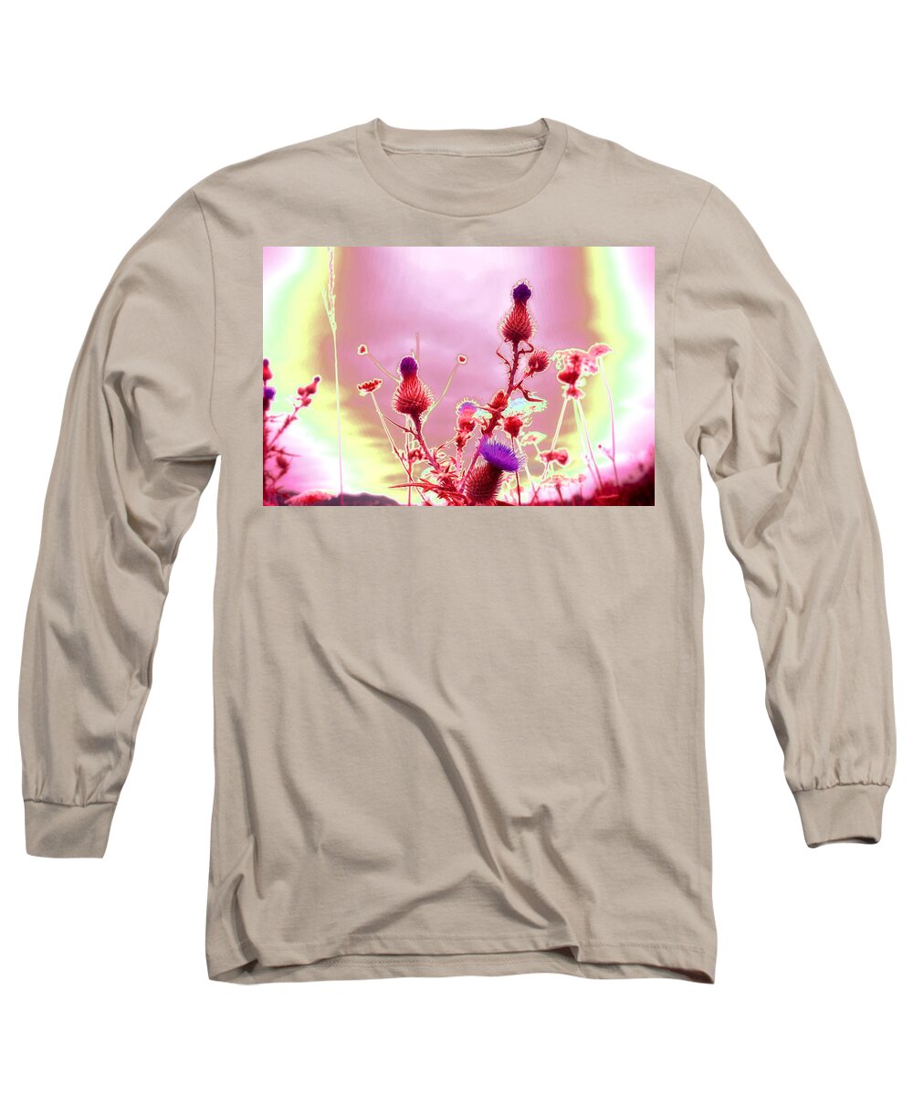 Thistle Long Sleeve T-Shirt featuring the photograph Bewitching Triad by Laureen Murtha Menzl