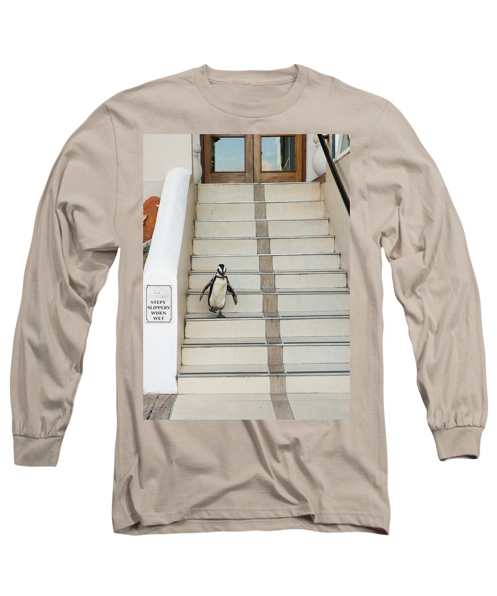Feb0514 Long Sleeve T-Shirt featuring the photograph Black-footed Penguin Boulders Beach by Kevin Schafer