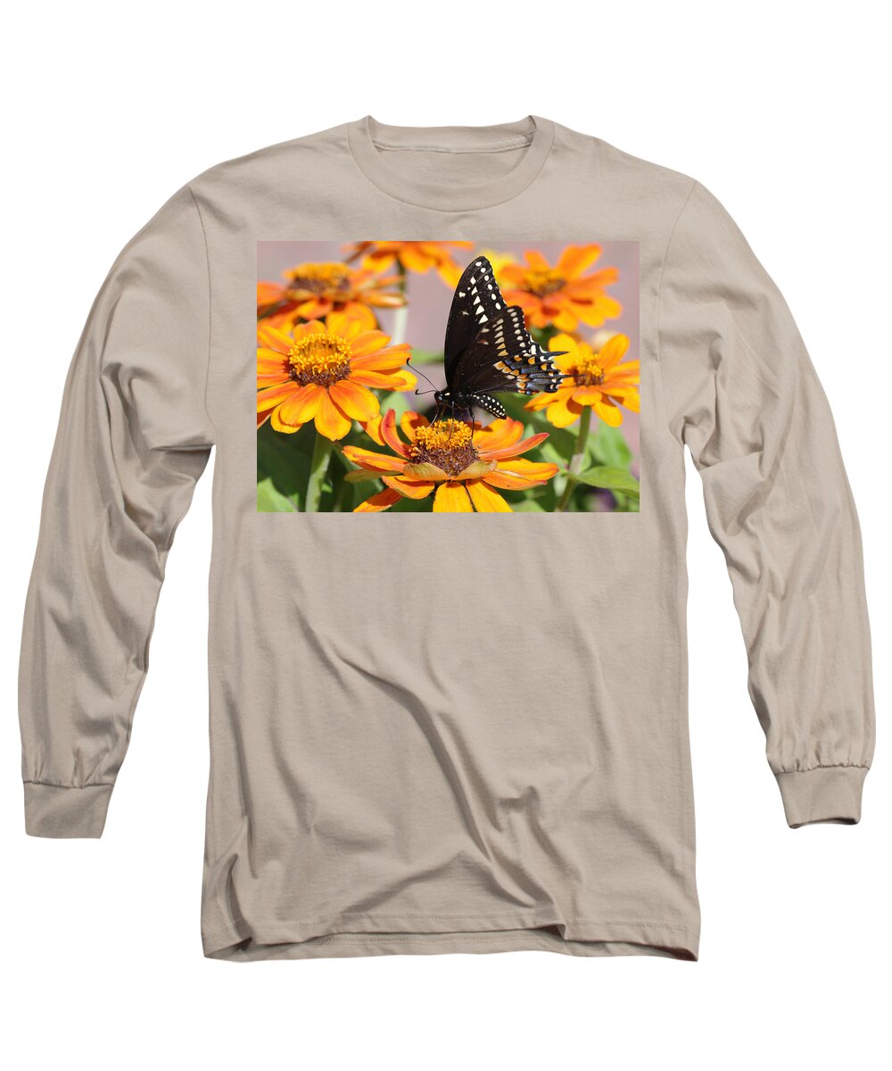 Butterfly Long Sleeve T-Shirt featuring the photograph Butterfly in Living Color by Greg Graham