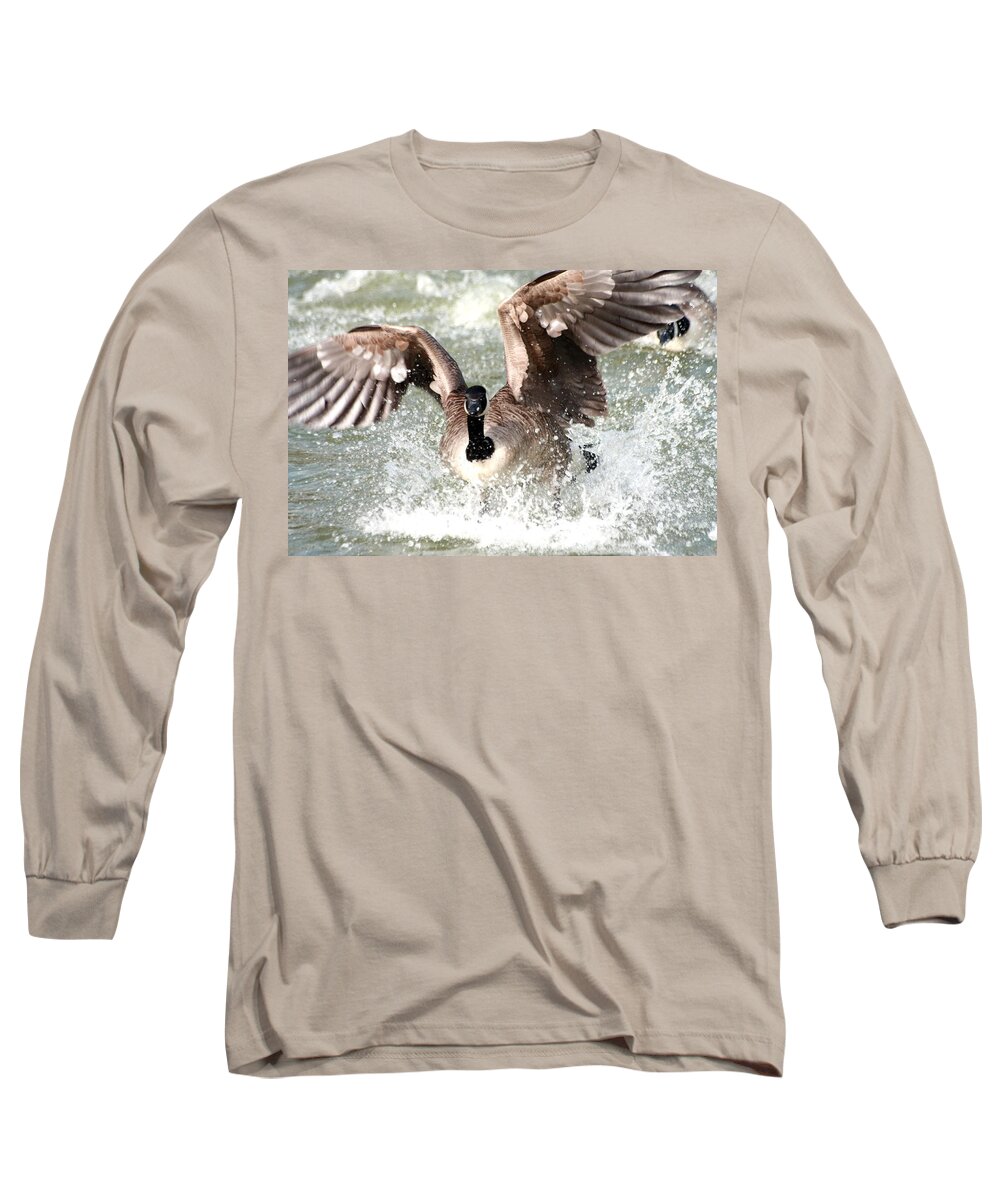 Canada Goose Long Sleeve T-Shirt featuring the photograph Canada Goose Fight by Jeremy Hayden
