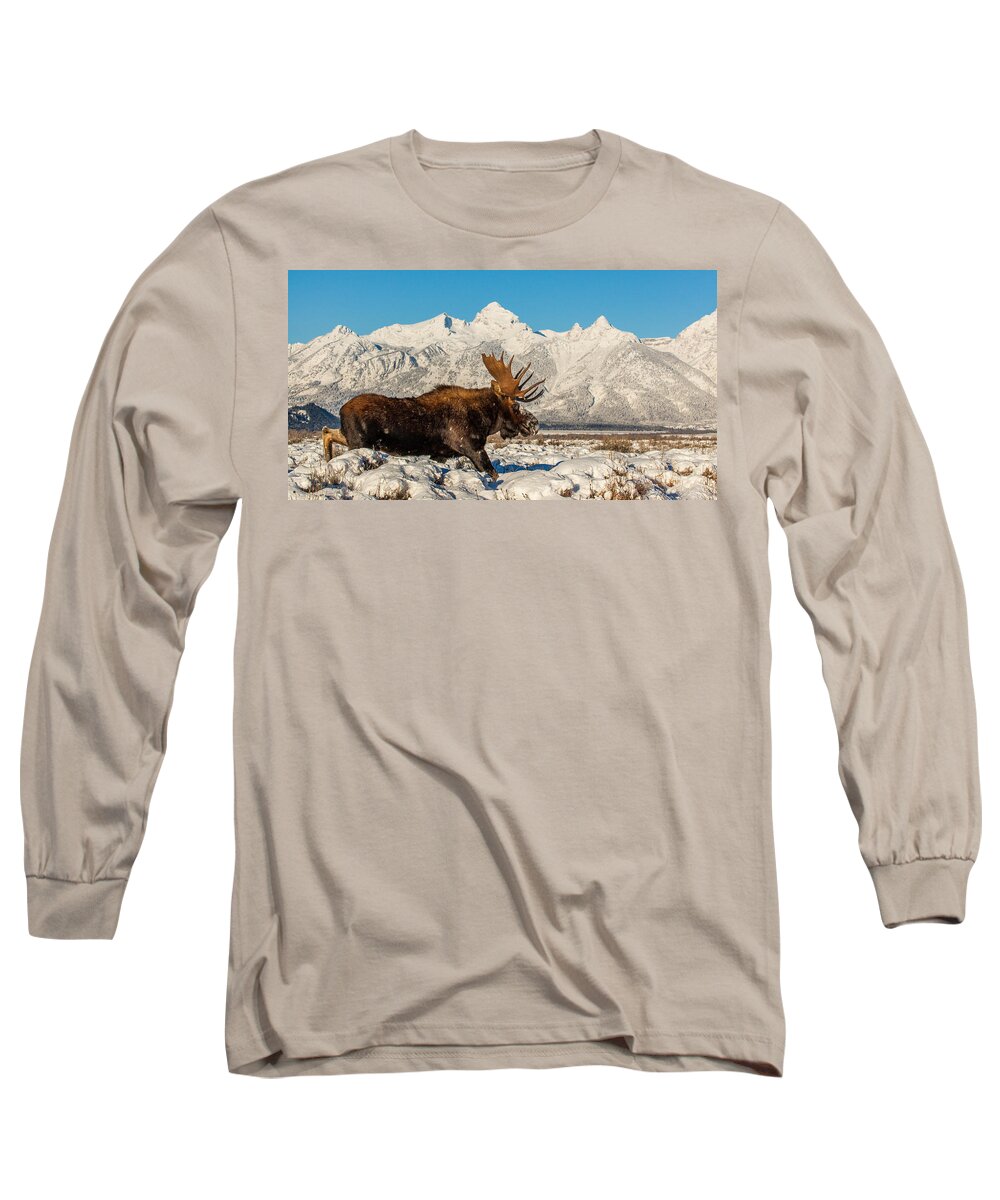 Moose Long Sleeve T-Shirt featuring the photograph Clearing Sky by Kevin Dietrich