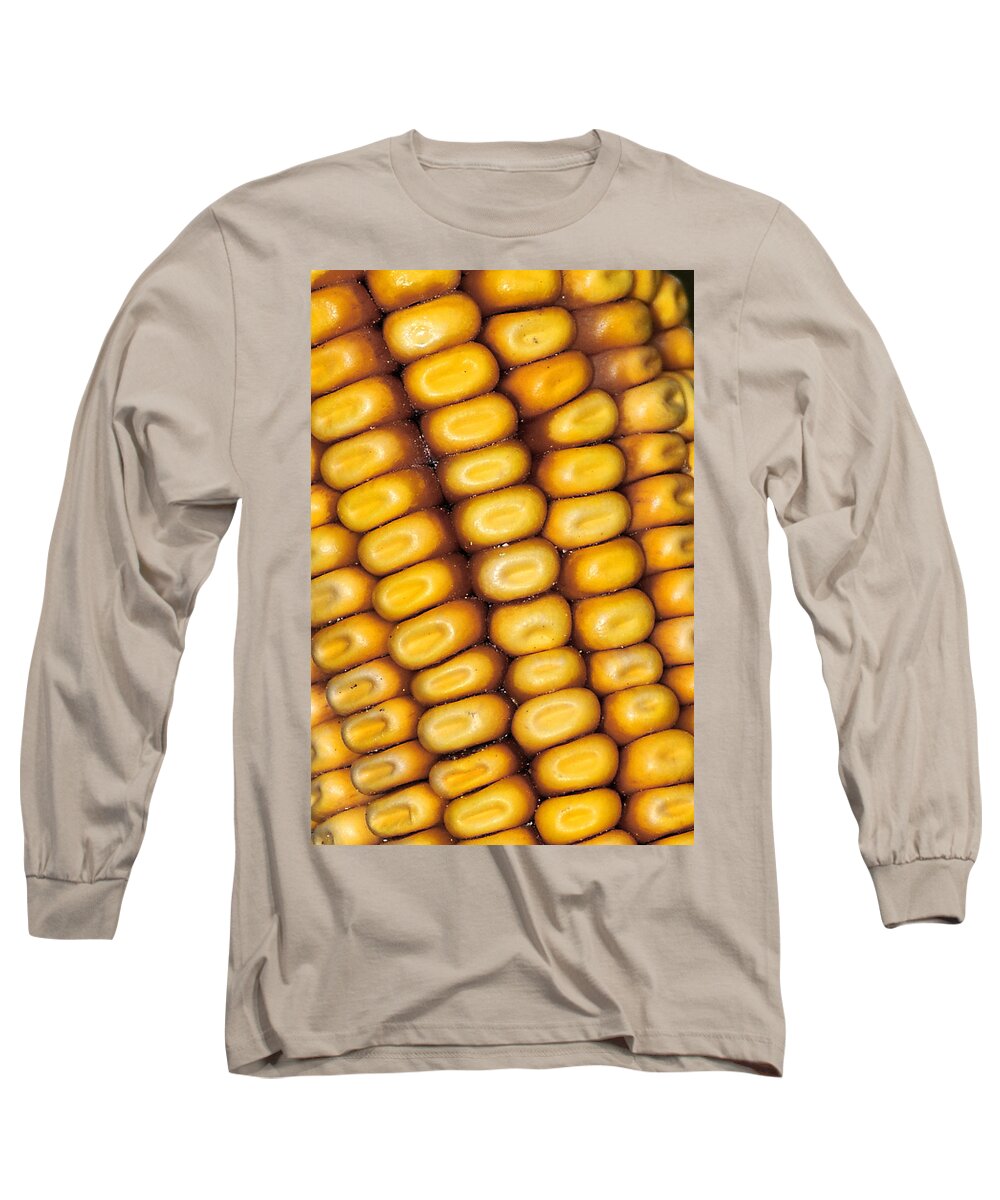 Corn Long Sleeve T-Shirt featuring the photograph Cornrows by Gene Tatroe