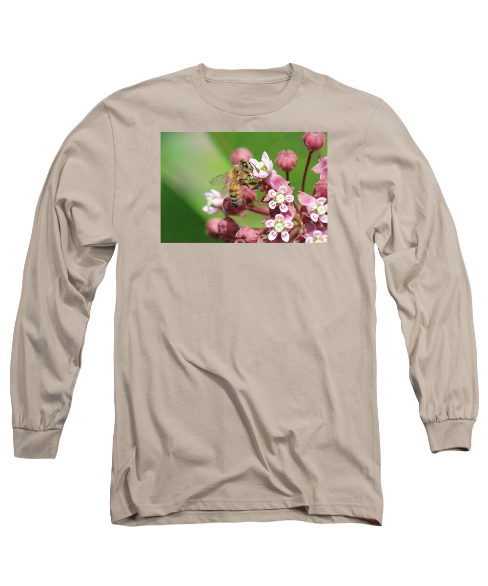 Honeybee Long Sleeve T-Shirt featuring the photograph Crazy for Milkweed by Lucinda VanVleck