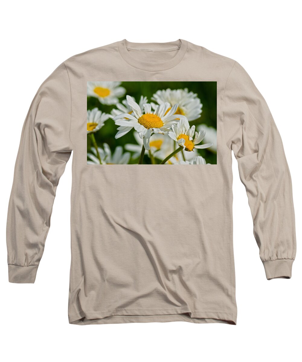 Daisy Long Sleeve T-Shirt featuring the photograph Daisies by Scott Carruthers