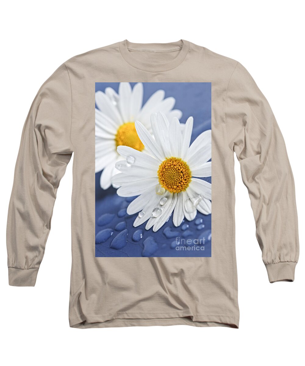 Flower Long Sleeve T-Shirt featuring the photograph Daisy flowers with water drops by Elena Elisseeva
