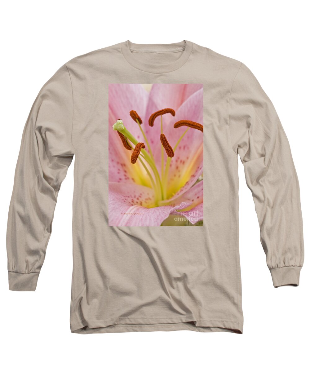 Day Lily Long Sleeve T-Shirt featuring the photograph Day Lily by Richard J Thompson 