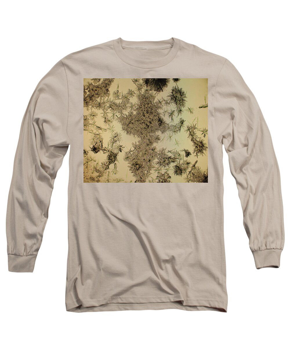 Crystals Long Sleeve T-Shirt featuring the photograph Dead Flowers by Hodges Jeffery