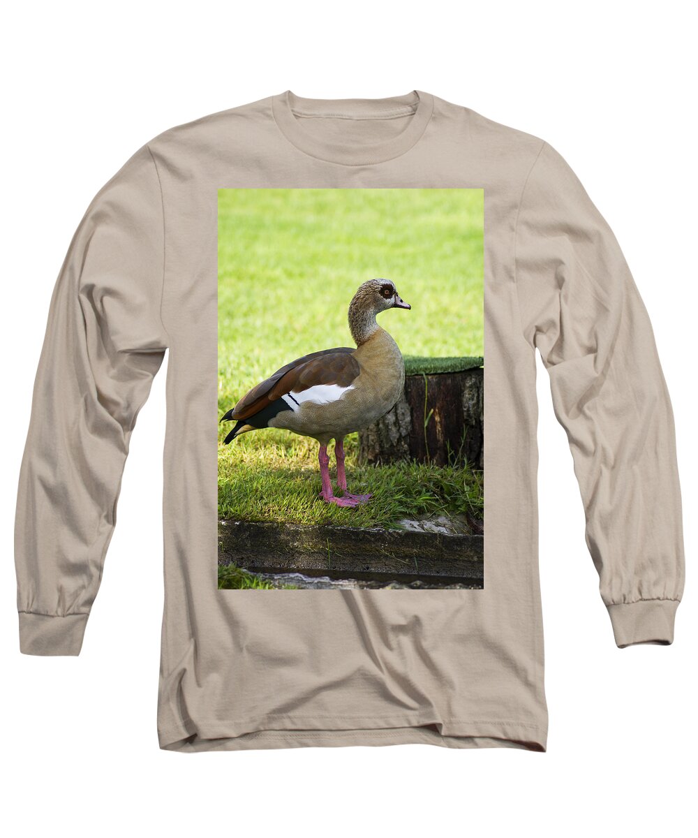 Duck Long Sleeve T-Shirt featuring the photograph Duck by Paulo Goncalves