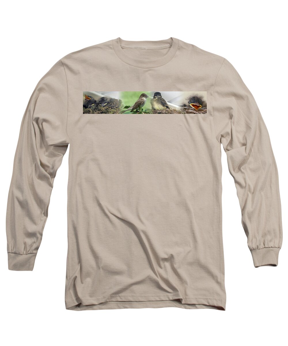 Birds Long Sleeve T-Shirt featuring the photograph Eastern Phoebe Family by Natalie Rotman Cote