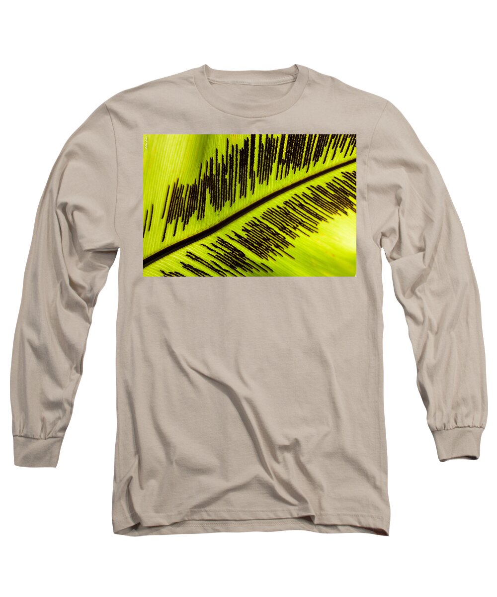 Floral Long Sleeve T-Shirt featuring the photograph Fern Leaf by Alexander Fedin