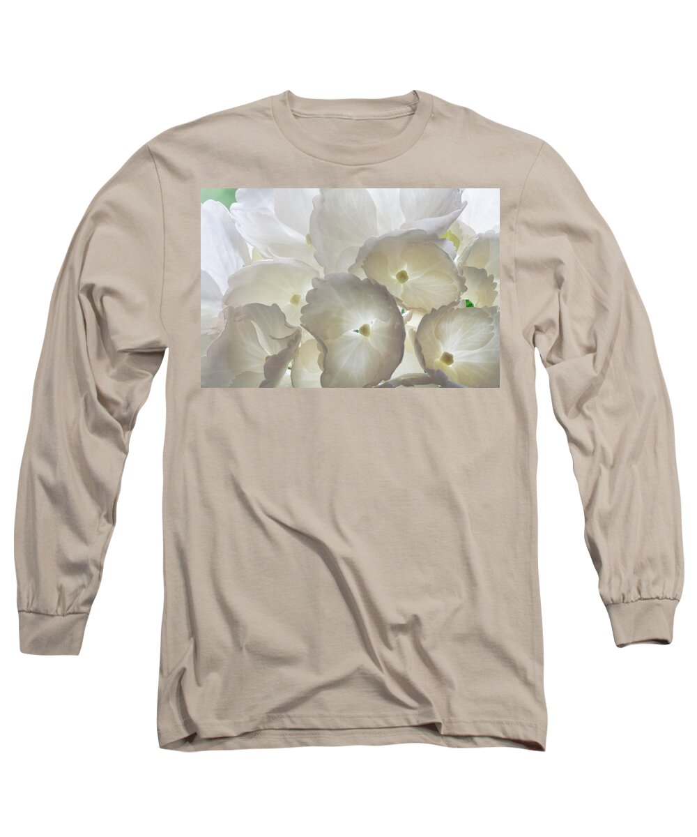 Hydrangea Long Sleeve T-Shirt featuring the photograph Filtered Light by Shirley Mitchell