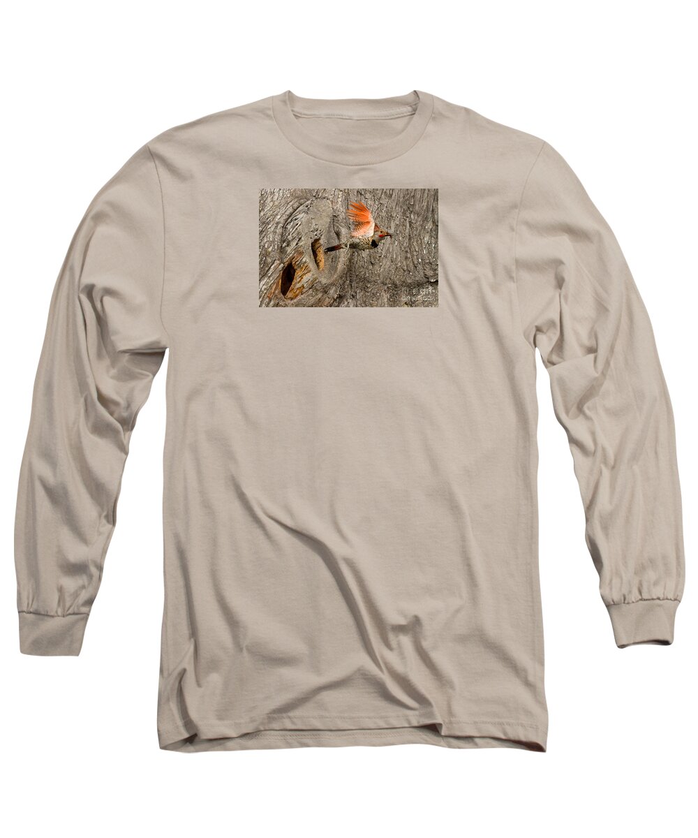 Animal Long Sleeve T-Shirt featuring the photograph Flicker Flight by Alice Cahill