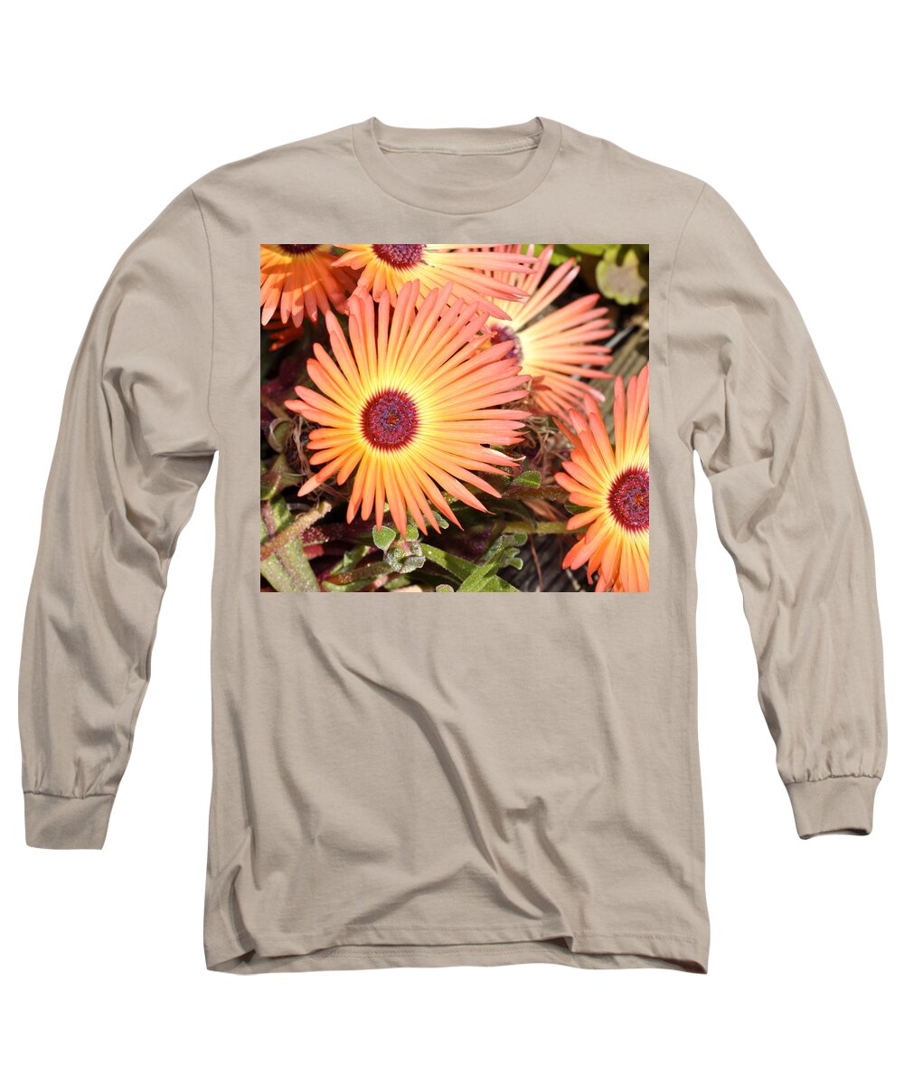 Flowers Long Sleeve T-Shirt featuring the photograph Floral by Cathy Mahnke