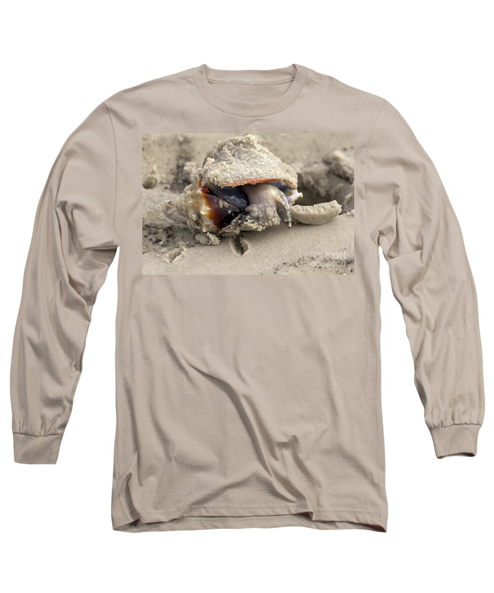 Fighting Conch Long Sleeve T-Shirt featuring the photograph Florida Fighting Conch by Meg Rousher
