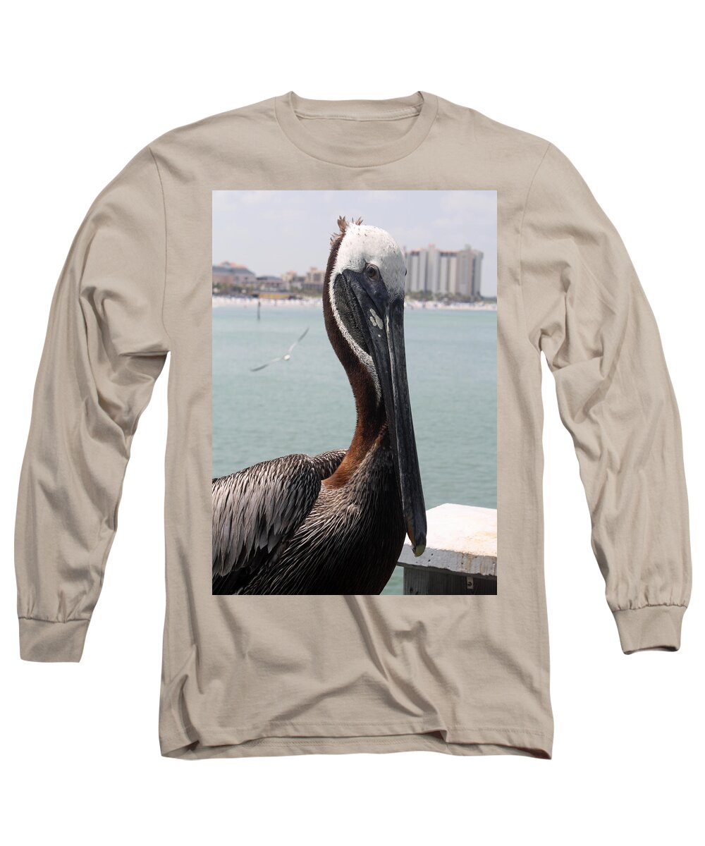 Clearwater Long Sleeve T-Shirt featuring the photograph Florida's Finest Bird by David Nicholls
