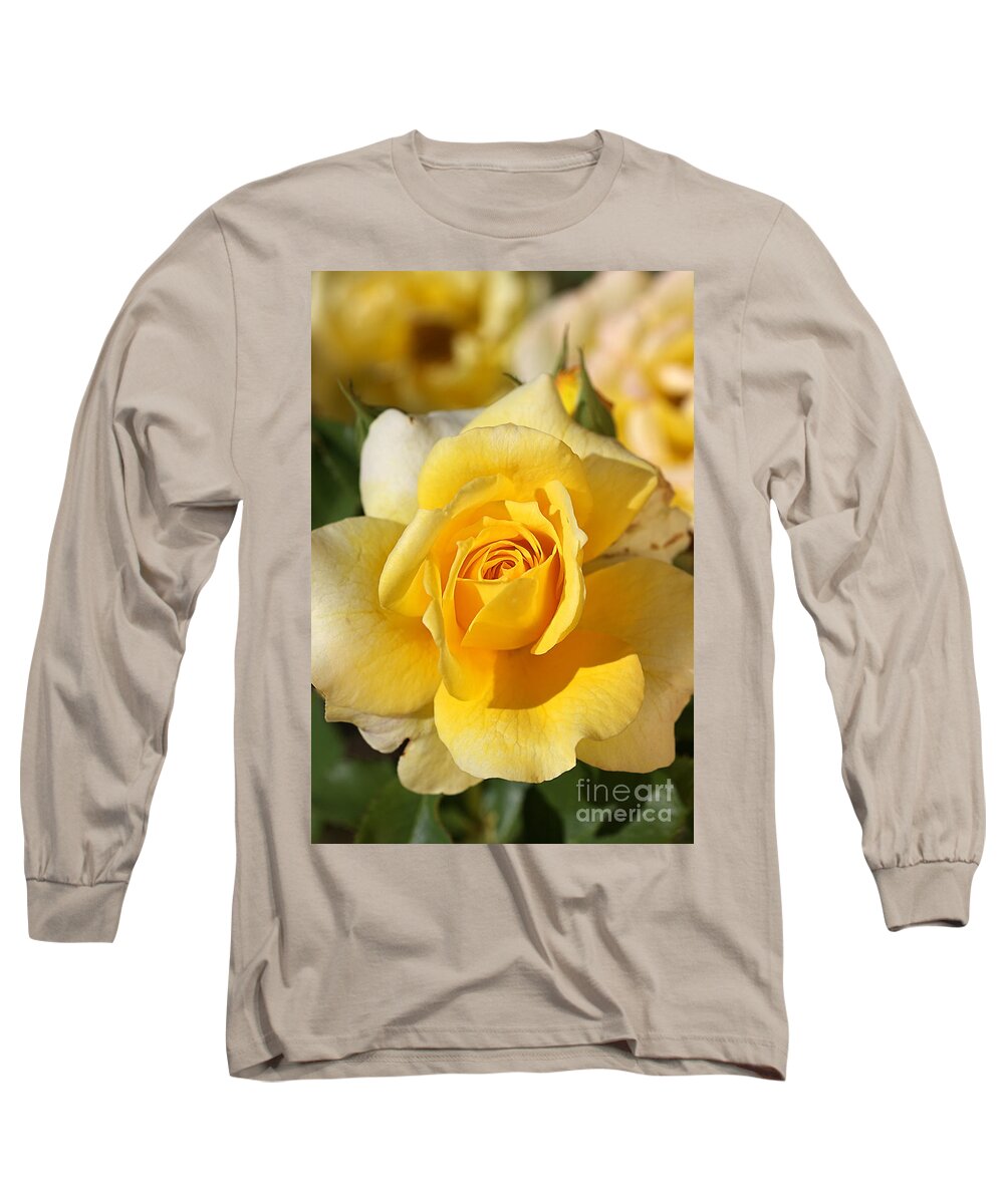 Floribunda Rose Long Sleeve T-Shirt featuring the photograph Flower-yellow Rose-delight by Joy Watson