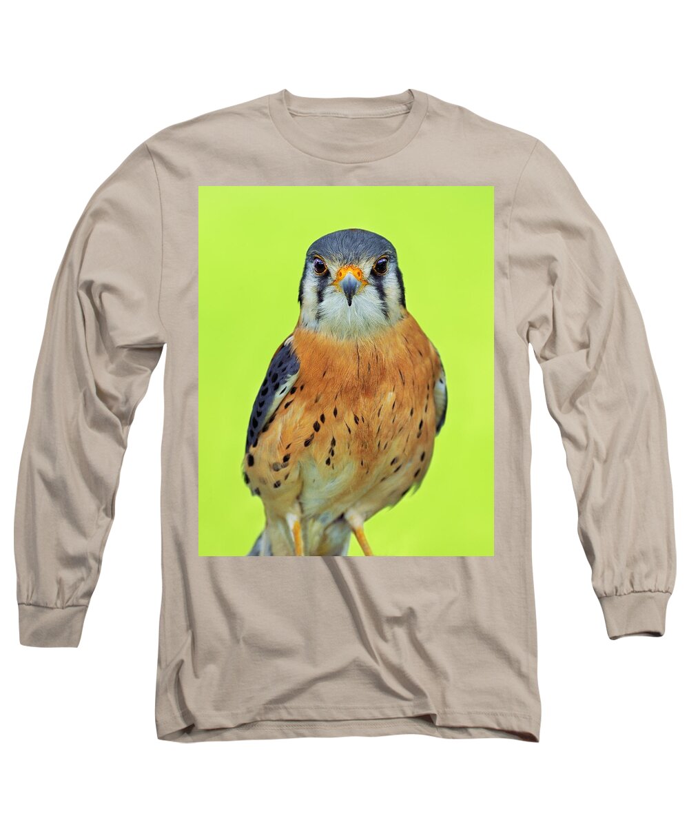 American Kestrel Long Sleeve T-Shirt featuring the photograph Forward Focus by Tony Beck