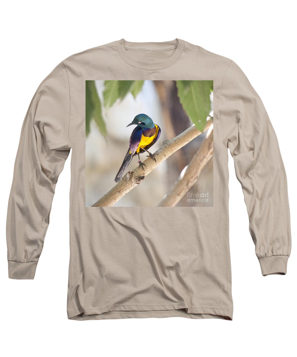 Bird Long Sleeve T-Shirt featuring the photograph Golden-breasted Starling by Jim And Emily Bush