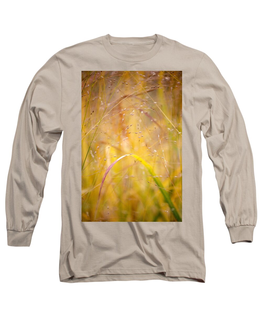 Autumn Long Sleeve T-Shirt featuring the photograph Golden Grass by Matthew Pace