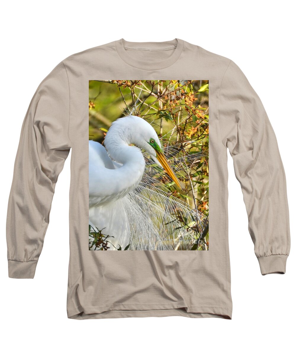 Birds Long Sleeve T-Shirt featuring the photograph Great White Egret Portrait by Kathy Baccari