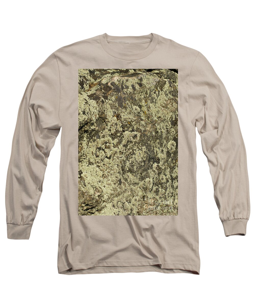 Moss Long Sleeve T-Shirt featuring the photograph Green Moss by Les Palenik