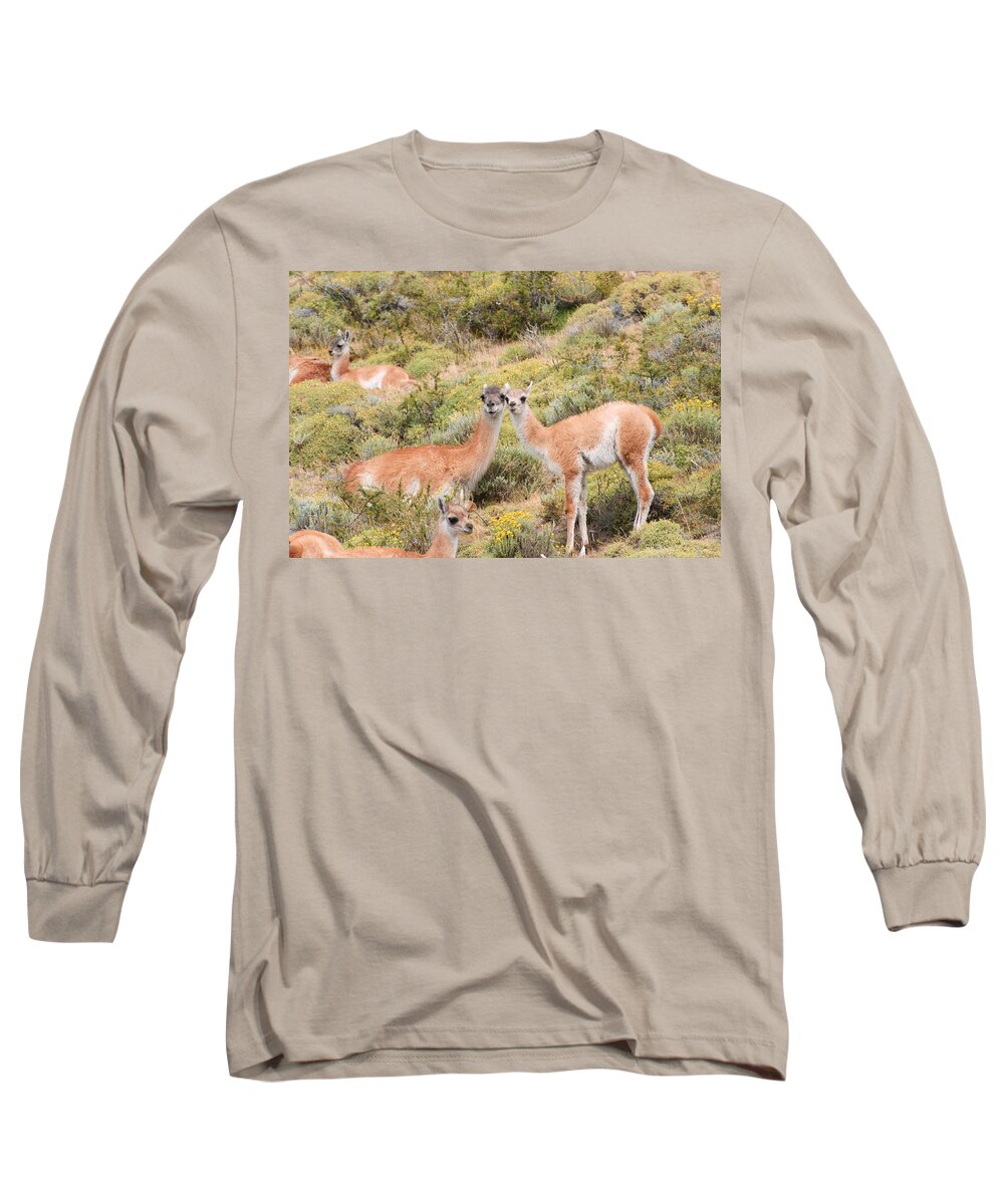 Photograph Long Sleeve T-Shirt featuring the photograph Guanaco by Richard Gehlbach