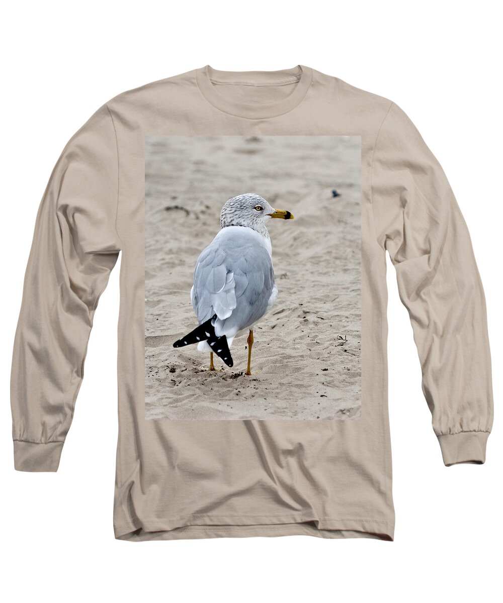 Gull Ringbilled Long Sleeve T-Shirt featuring the photograph Gull by Carol Erikson