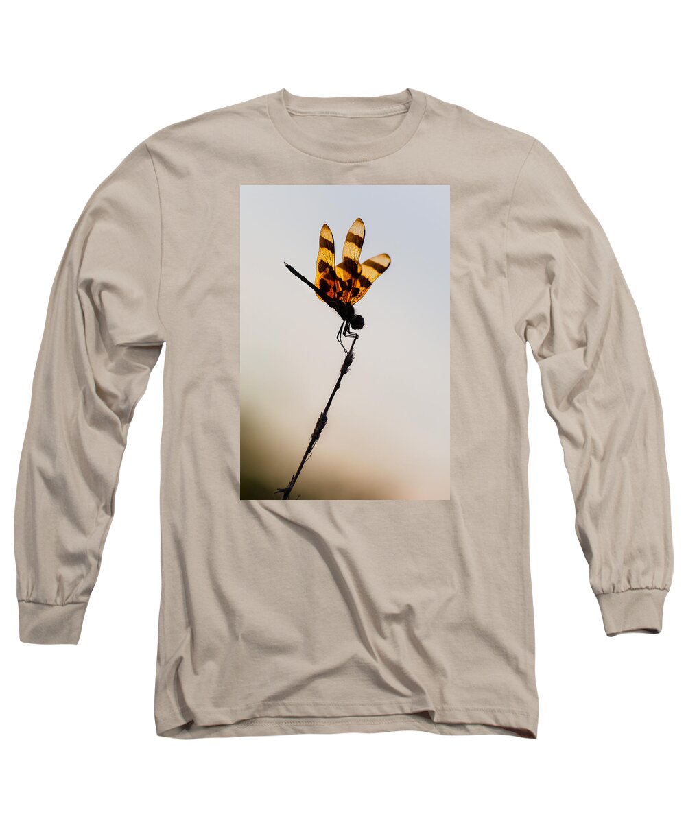 Dragonfly Long Sleeve T-Shirt featuring the photograph Halloween Pennant Dragonfly Glow by Ed Gleichman