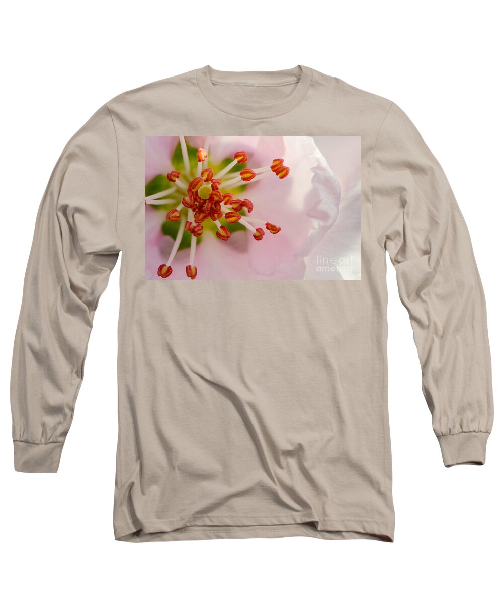 Blooms Long Sleeve T-Shirt featuring the photograph In A Pink Cloud by Michael Arend