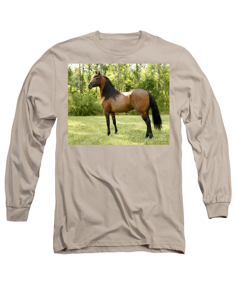 Horse Long Sleeve T-Shirt featuring the photograph I've Got My Eye on You by Carol Lynn Coronios