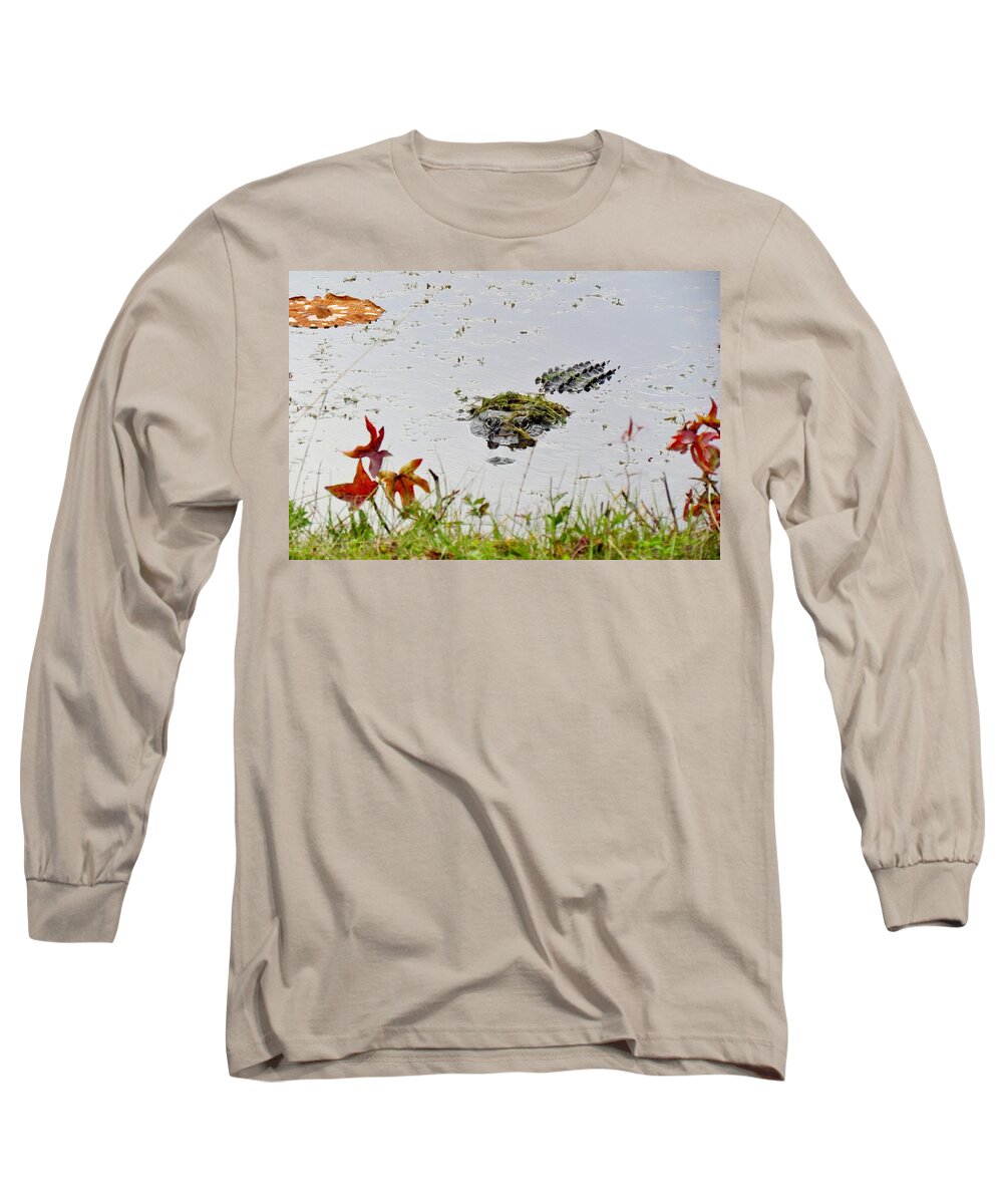 Alligator Long Sleeve T-Shirt featuring the photograph Just Hanging Out by Cynthia Guinn