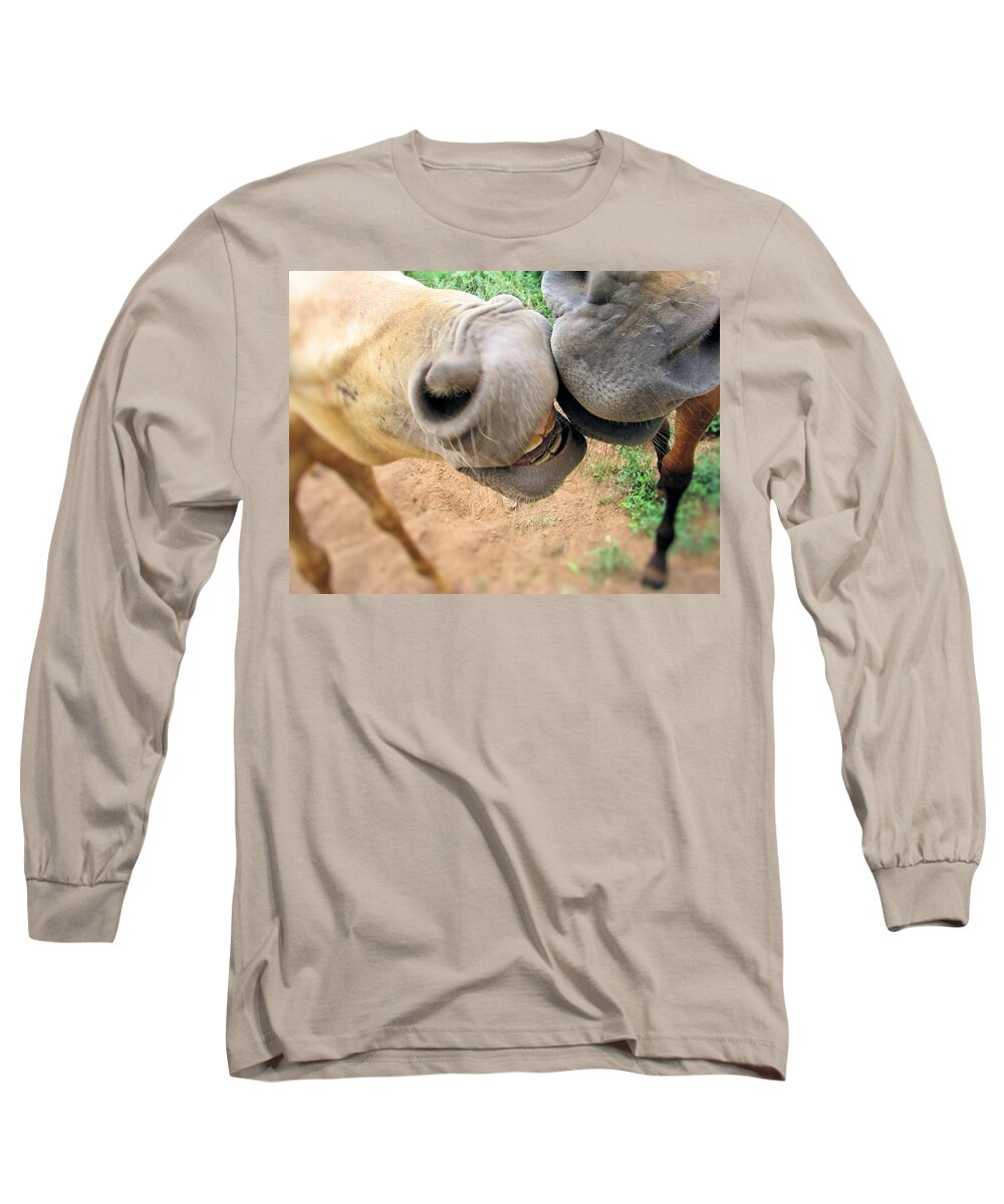 Horse Long Sleeve T-Shirt featuring the painting Kisses by Page Holland