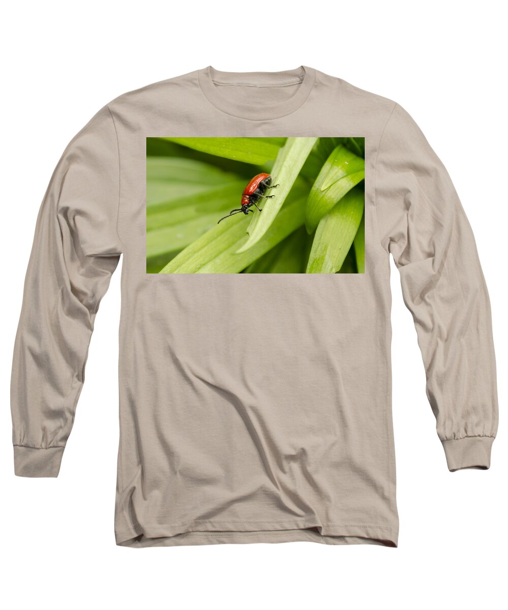 Lily Beetle Long Sleeve T-Shirt featuring the photograph Lily Beetle by Spikey Mouse Photography