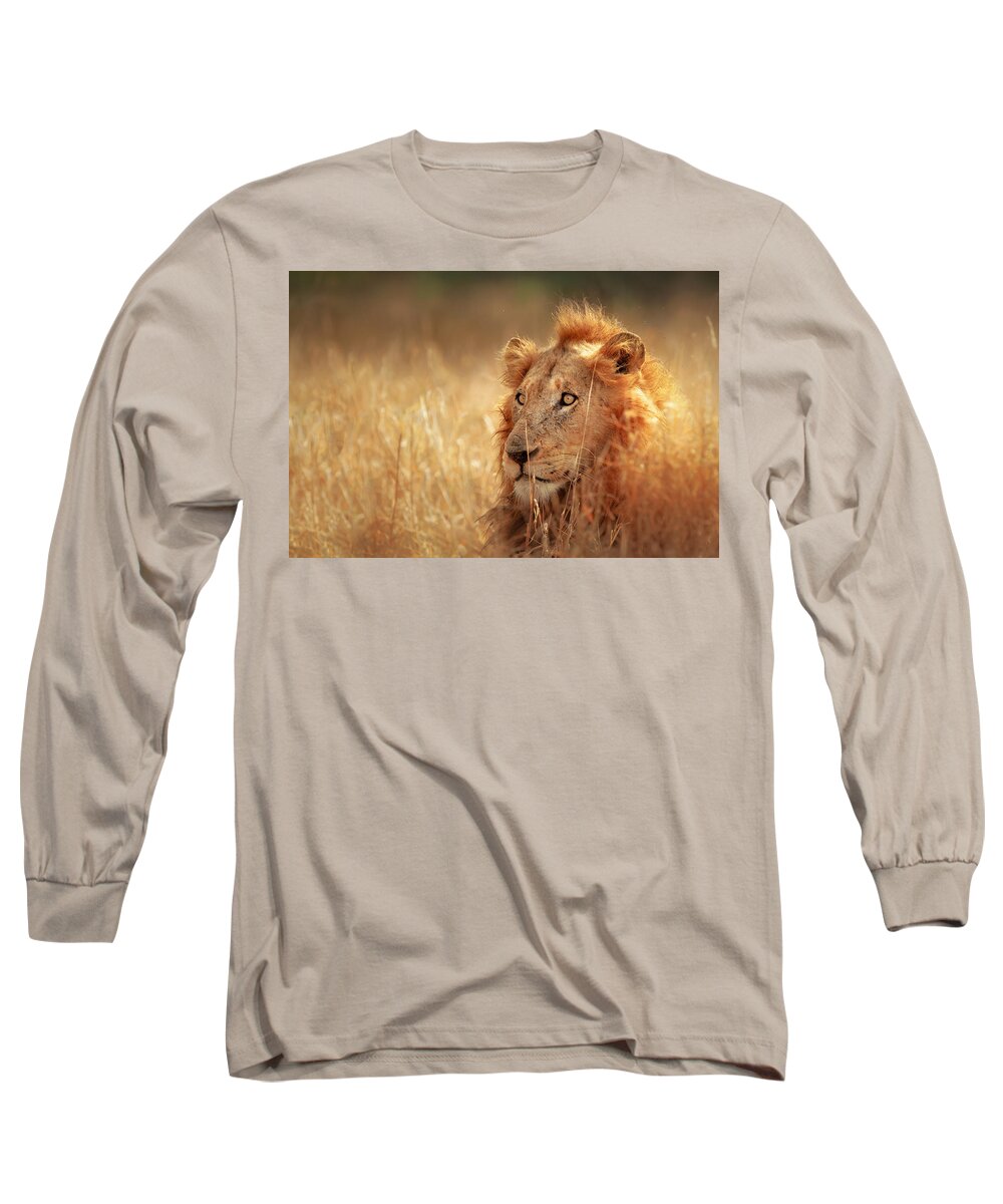 Lion Long Sleeve T-Shirt featuring the photograph Lion in grass by Johan Swanepoel