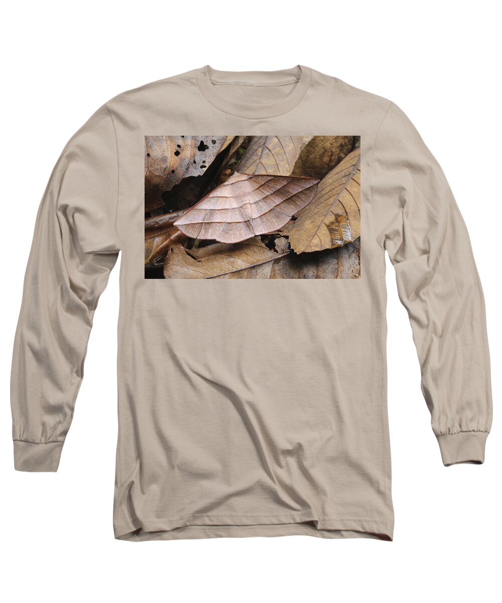 Feb0514 Long Sleeve T-Shirt featuring the photograph Looper Moth Male Mimics Dead Leaf Sabah by Ch'ien Lee