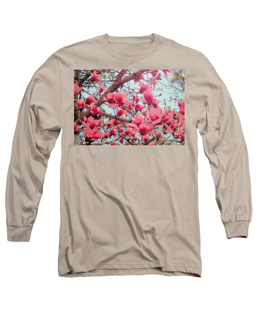 Magnolia Long Sleeve T-Shirt featuring the photograph Magnolia Blossoms in Spring by Janette Boyd