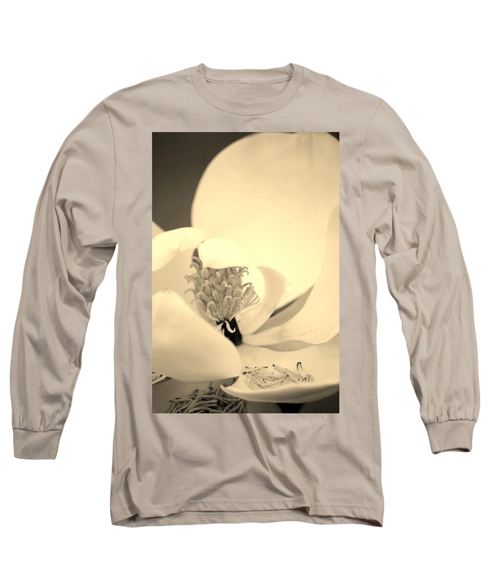 Plant Long Sleeve T-Shirt featuring the photograph Magnolia by Tamara Michael