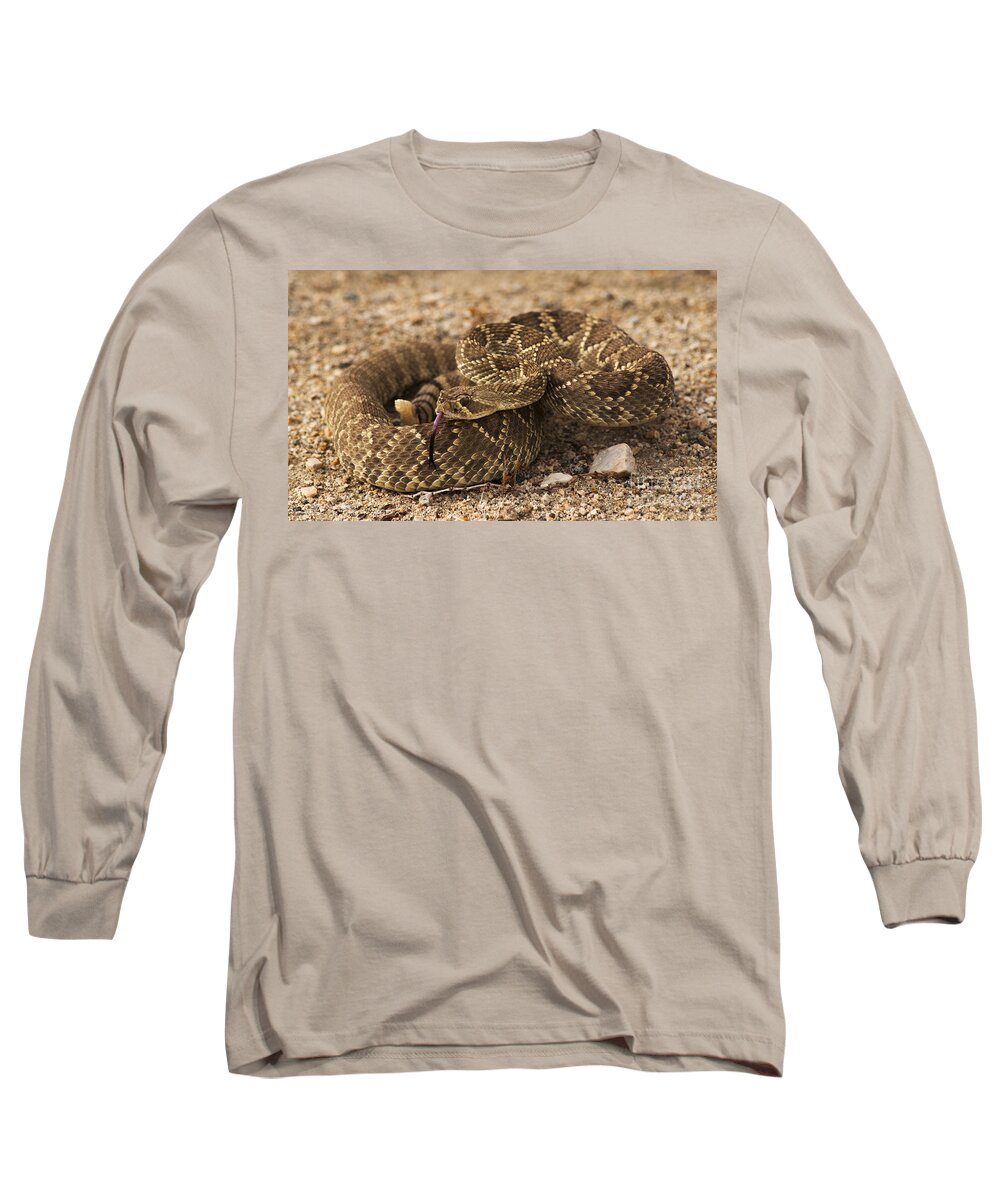 Snake Long Sleeve T-Shirt featuring the photograph Mojave Green Rattlesnake by Vivian Christopher