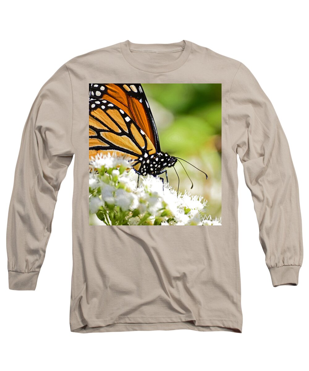 Butterfly Long Sleeve T-Shirt featuring the photograph Monarch Moment by Lori Tambakis