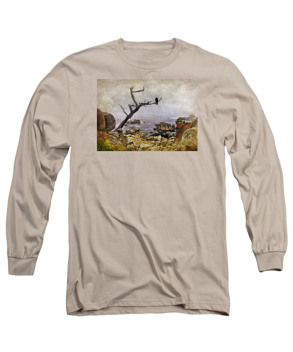 Birds Long Sleeve T-Shirt featuring the photograph Monterey Mist by Nikolyn McDonald