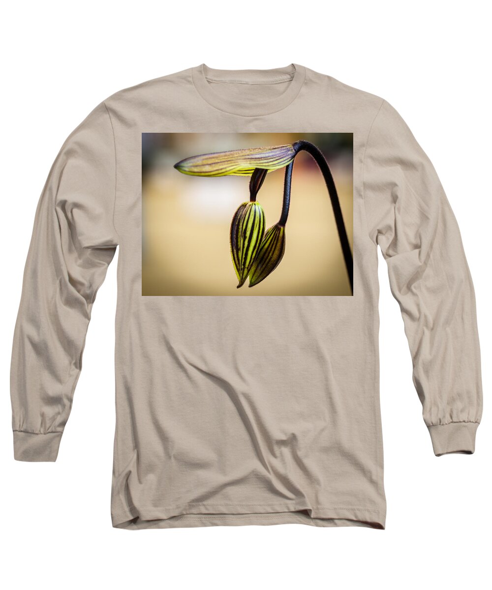 Akatsuka Orchid Gardens Long Sleeve T-Shirt featuring the photograph Moody Orchid by Georgette Grossman