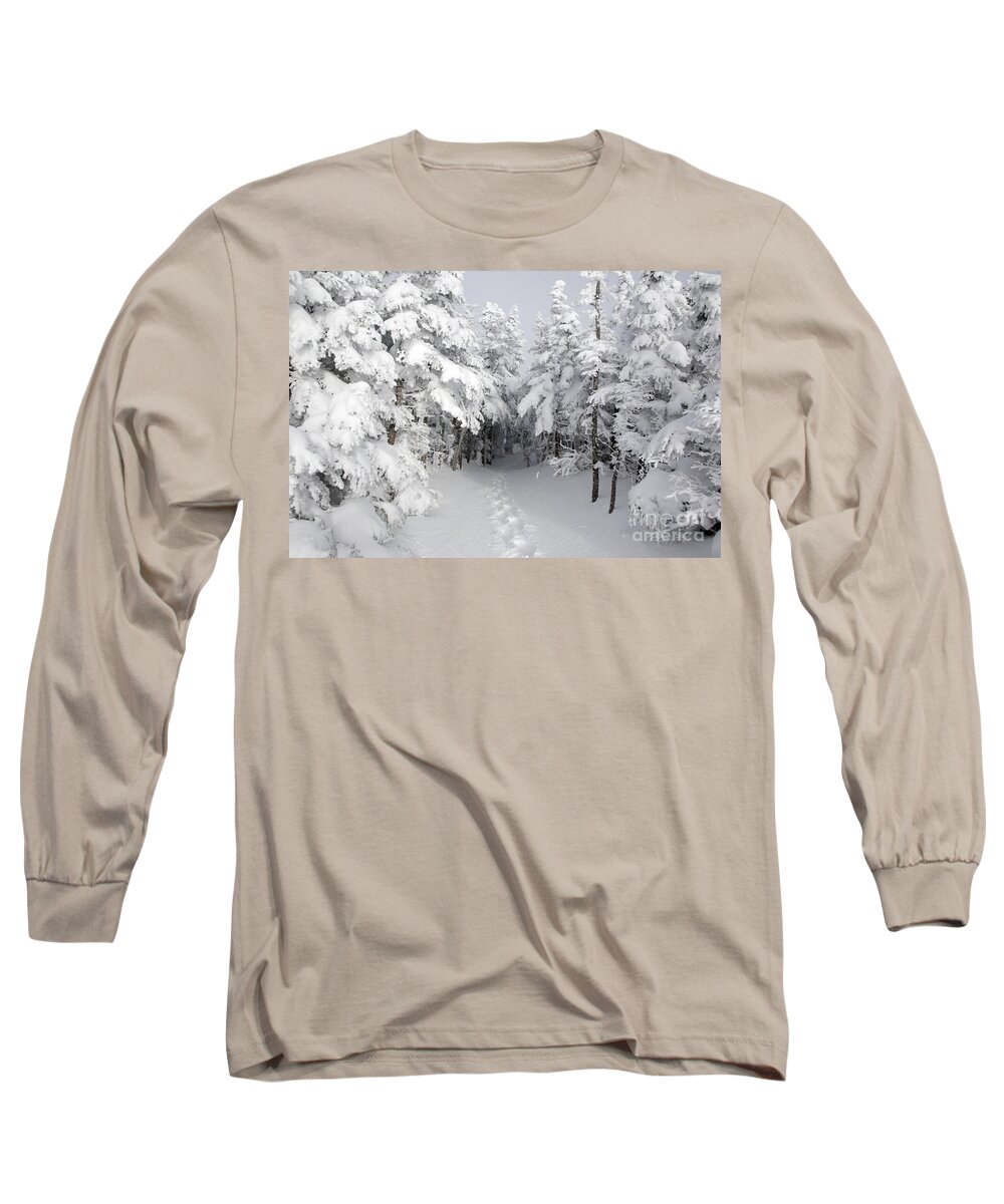 Wilderness Long Sleeve T-Shirt featuring the photograph Mount Osceola Trail - White Mountains New Hampshire by Erin Paul Donovan
