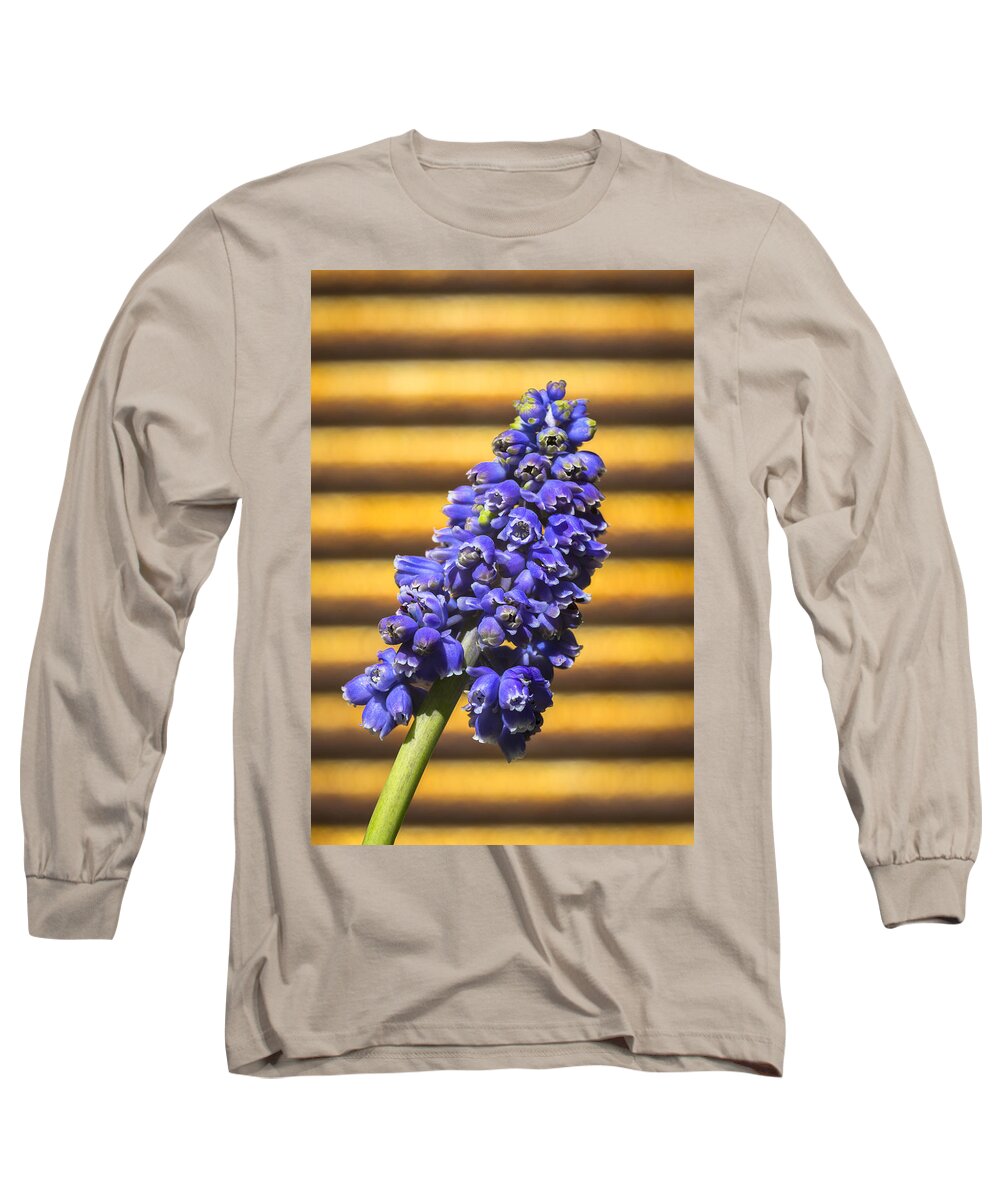 Muscari Long Sleeve T-Shirt featuring the photograph Muscari and Rust by Caitlyn Grasso