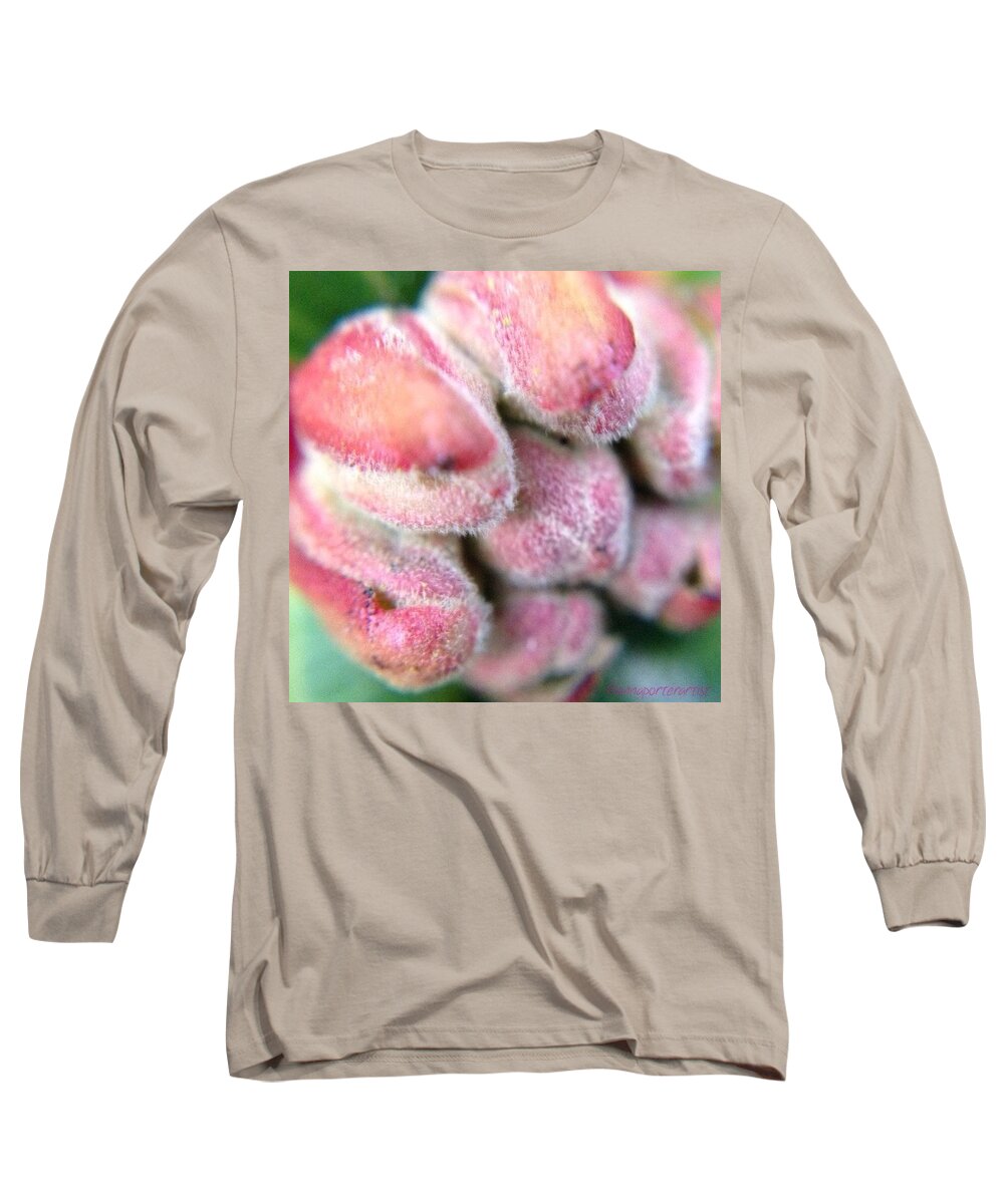 Global_nature_pinks Long Sleeve T-Shirt featuring the photograph New Beginnings-rhododendron Floret Bud by Anna Porter