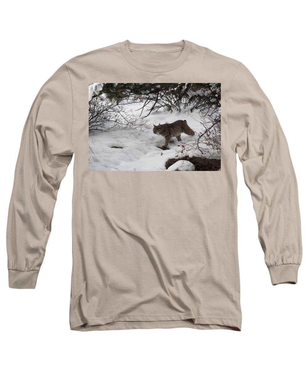 Bobcat Long Sleeve T-Shirt featuring the photograph Bobcat On The Prowl by Shane Bechler