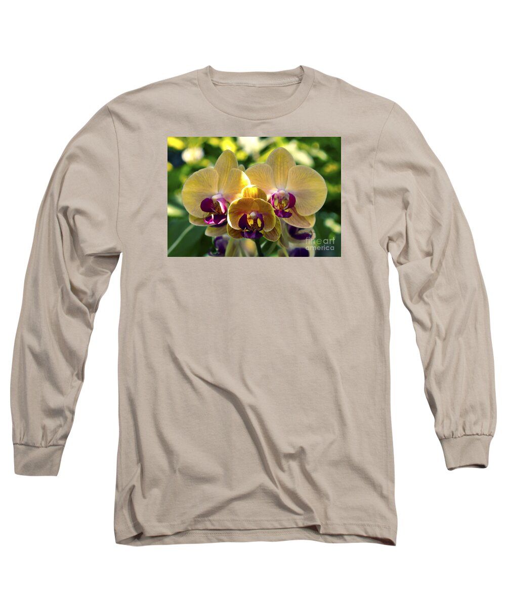 Fine Art Photography Long Sleeve T-Shirt featuring the photograph Orchid Study VIII by Patricia Griffin Brett