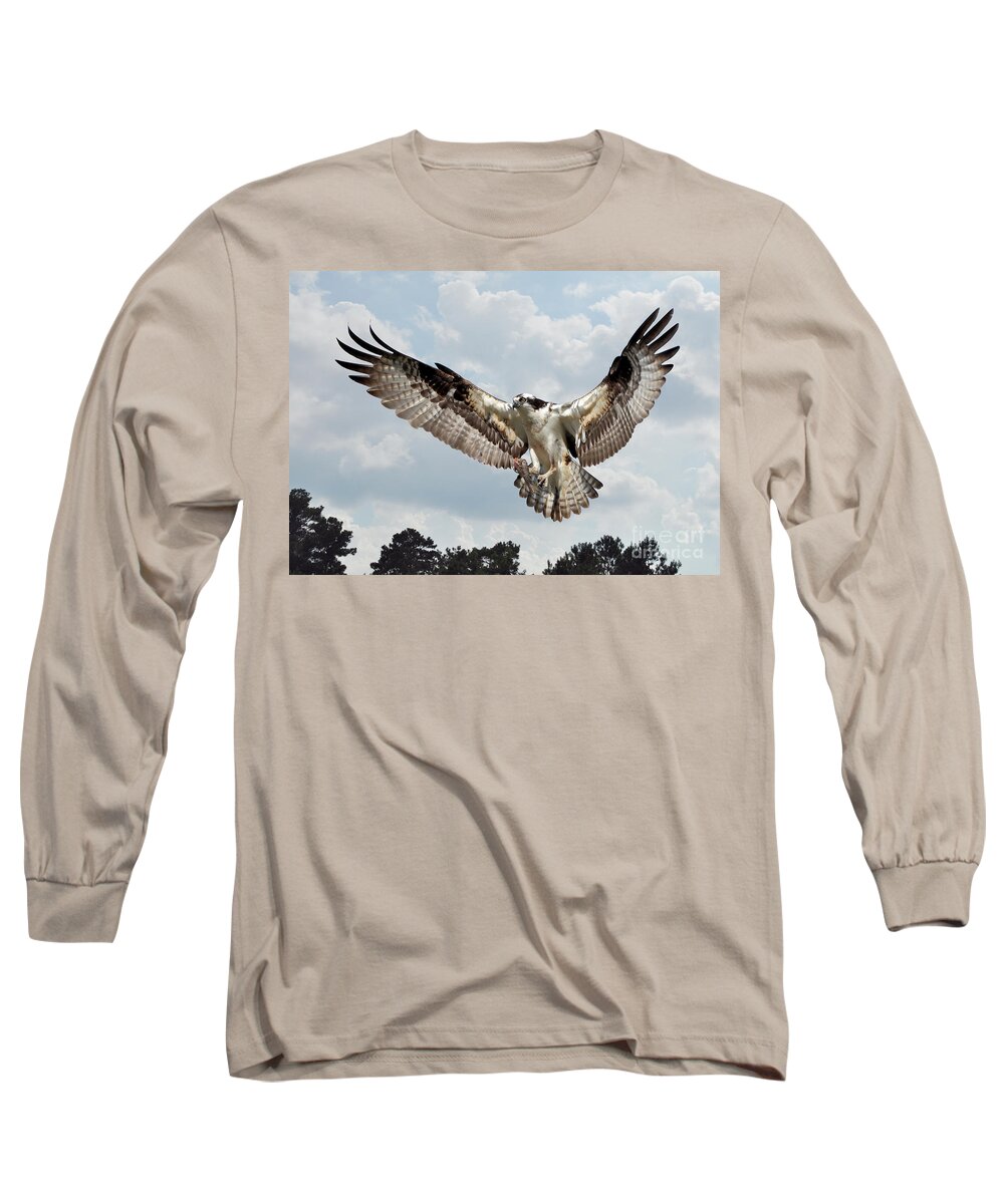 Birds Long Sleeve T-Shirt featuring the photograph Osprey With Fish In Talons by Kathy Baccari