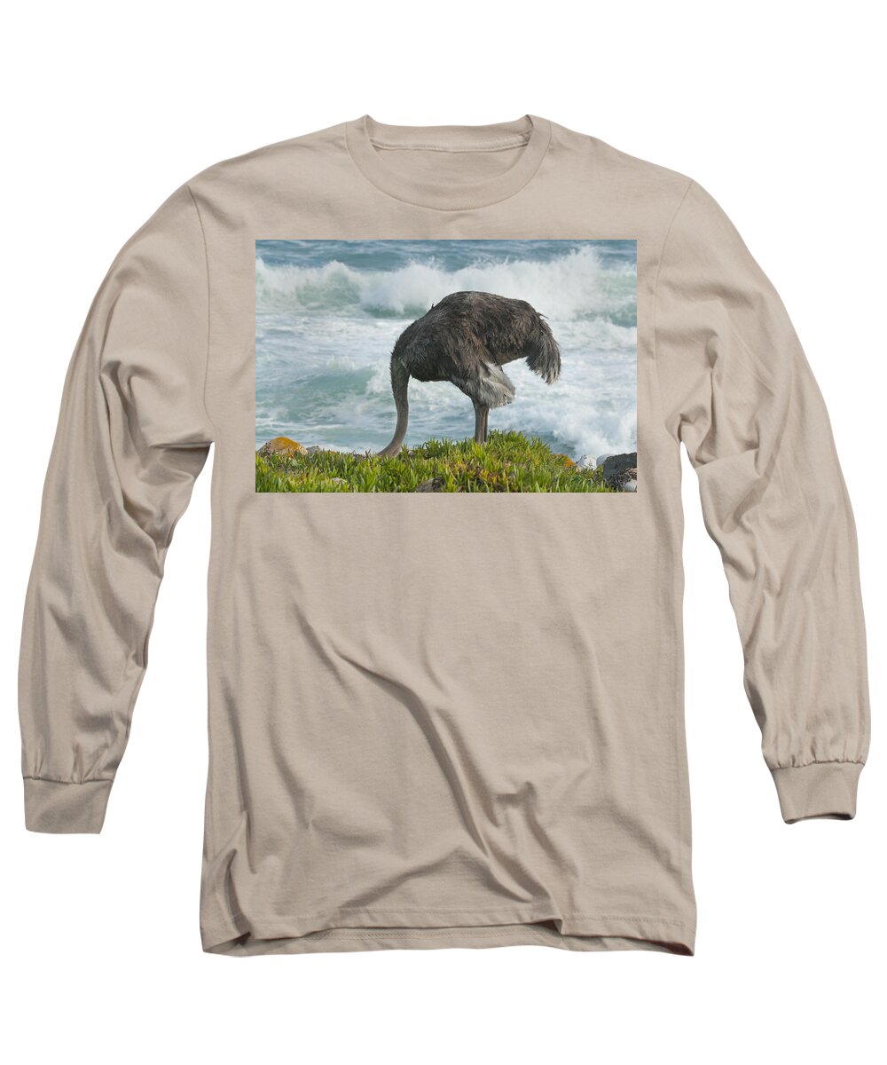 Feb0514 Long Sleeve T-Shirt featuring the photograph Ostrich Female Feeding South Africa by Kevin Schafer